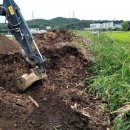 한국종묘농약사 이미지