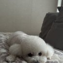 라이즈커피