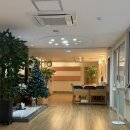 소피아산후조리원 연계스튜디오 뉴본촬영 후기 (눈부신일상 강남점)