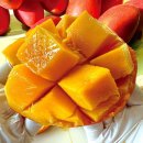 애플망고 이미지