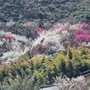 새울신협 이미지