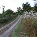 화순이서우체국 이미지