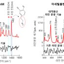 아토커뮤니케이션즈 - 강남구 봉은사로114길 13 | 아토커뮤니케이션즈