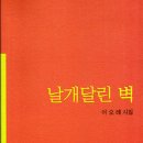 날개달린옷 이미지