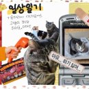 (주) 따봉투어