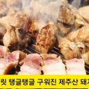 👩‍🍳제주산 돼지고기🐖를 대전시청역 🥩맛집에서🍶 #오백돈 #오백돈세트 #대전시청역 #둔산동맛집 #삼겹살맛집 🏖 #제주산돼지 이미지