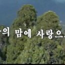 샤론의꽃 이미지