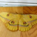 홍원연수원 이미지