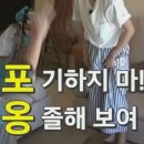 따봉청소대행 | 포토덤프가 덤프트럭 그거임요 ?