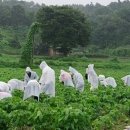 정진학원 이미지