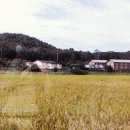 화정한옥민박 이미지