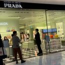 호텔 프라다 | 요즘 프라다 왜 다시 뜨는지 알겠다 | 더현대 프라이빗 행사 + 실제 구매 후기 (2026 서머)