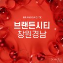 브랜든시티의원 이미지