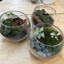 [시민제안강의] 내 삶의 화양연화 플라워 디자인 | 서울청년센터 동대문 테라리움 가드닝클래스 힐링 홈가드닝 후기