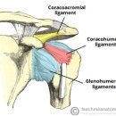 안산늘봄한의원 이미지