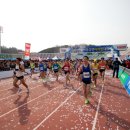 낙동강변25 이미지