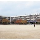 서울선린초등학교 이미지