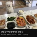 호텔토마토 이미지