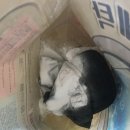 동일세탁 이미지