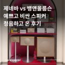 제네바 vs 뱅앤올룹슨, 뭐가 더 좋았을까? 500만원 스피커 청음 후기