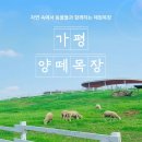 케논목장 네이버블로그