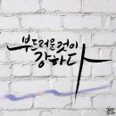 붓펜 캘리그라피 이미지