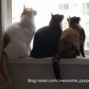 겐로쿠우동 군산점 이미지