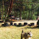 오투캐빈 이미지