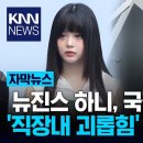 "무시해" 들었던 뉴진스 하니,국감서 증언?…참고인 채택" 이미지