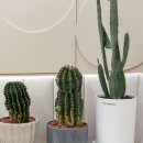 잠실역6번출구(뒤) | 잠실타이마사지 잠실역 방이동 마사지 더풋샵 잠실갈만한곳