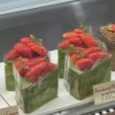 터틀짐 | 성수 케이크 맛집 터틀힙 성수 생과일 케이크 후기