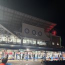 [속초 : 맛집] 속초 회센터 추천 / 동명항 회센터 / 속초 동명항 영남상회 후기
