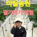 김아빠농원 네이버블로그