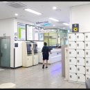 관저다목적체육관 수영장 이미지