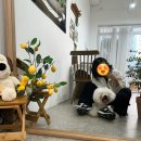 도그바게트 이미지