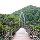 연하엽구름다리 이미지