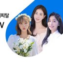 ㈜하나렌트카 이미지