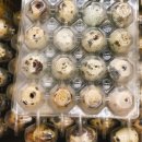 영농조합법인 김포축산 이미지