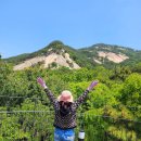 불암산 순환산책로 이미지