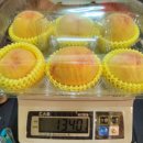 스윗그린 이미지