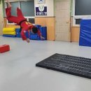 국술원도장 이미지