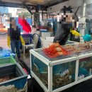 영덕수산시장 | 영덕 강구항 수산시장 홍게포장 후기 진아수산