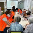 (주)한국장애인복지일자리나눔 | 🌷 시니어 자원봉사 일자리 — 인생 2막, 다시 피어나는 따뜻한 시간 🌷 사이트별 금액첨부