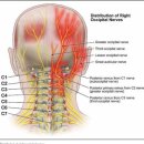 안아픈세상의원 이미지