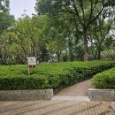 조형물 분수대4 | [장쑤성 우시] 중국 초대형 야외불상 영산대불灵山胜境_영산범궁,청동분수대,공연시간 등