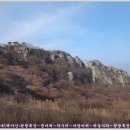 문바위목장 Daum카페