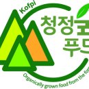 청정숲
