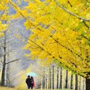 어느멋진날에 1 이미지