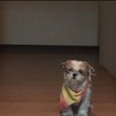 스테이 우브 | 안냐세요