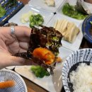 강선장당일바리 | <제주시 횟집>강선장 당일바리 횟집, 제주도 벵에돔